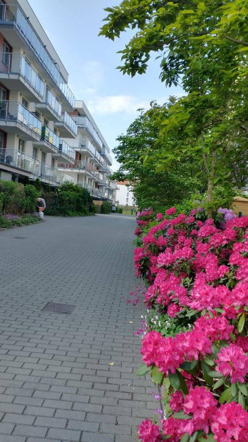 Limonka Apartment *
