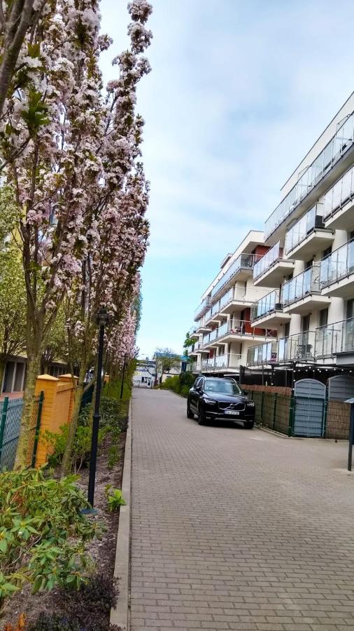 Apartament Limonka *